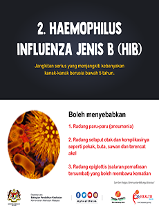 Hepatitis B - infografik 3